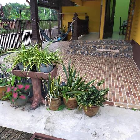 Rumah Tumpangan Di Kuala Terengganu, Terengganu Homestay D Esterno foto